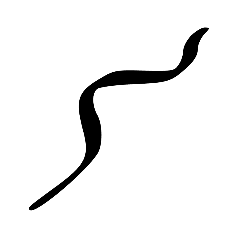 I10 — Cobra