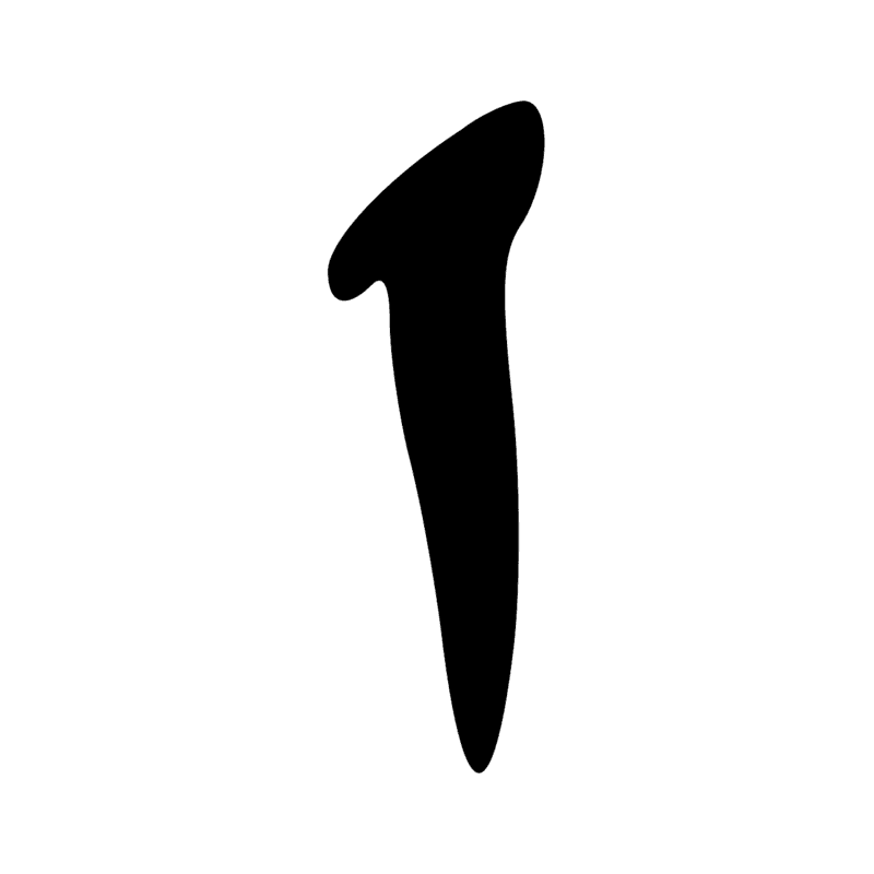 N11 Z1