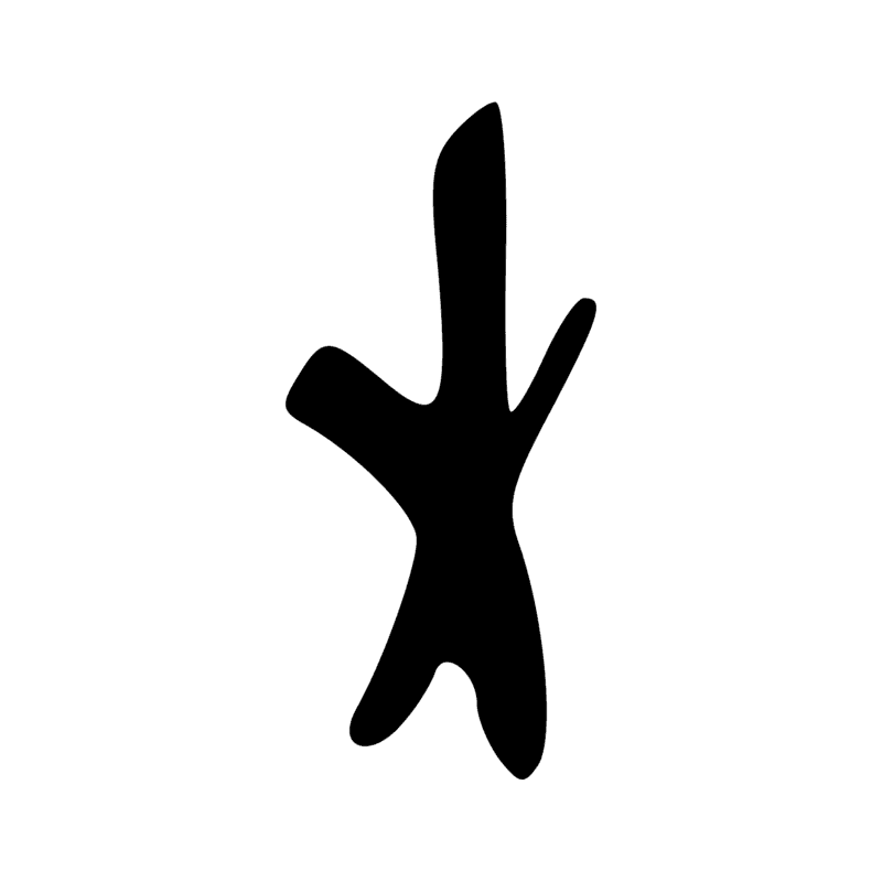 N14 — Etoile