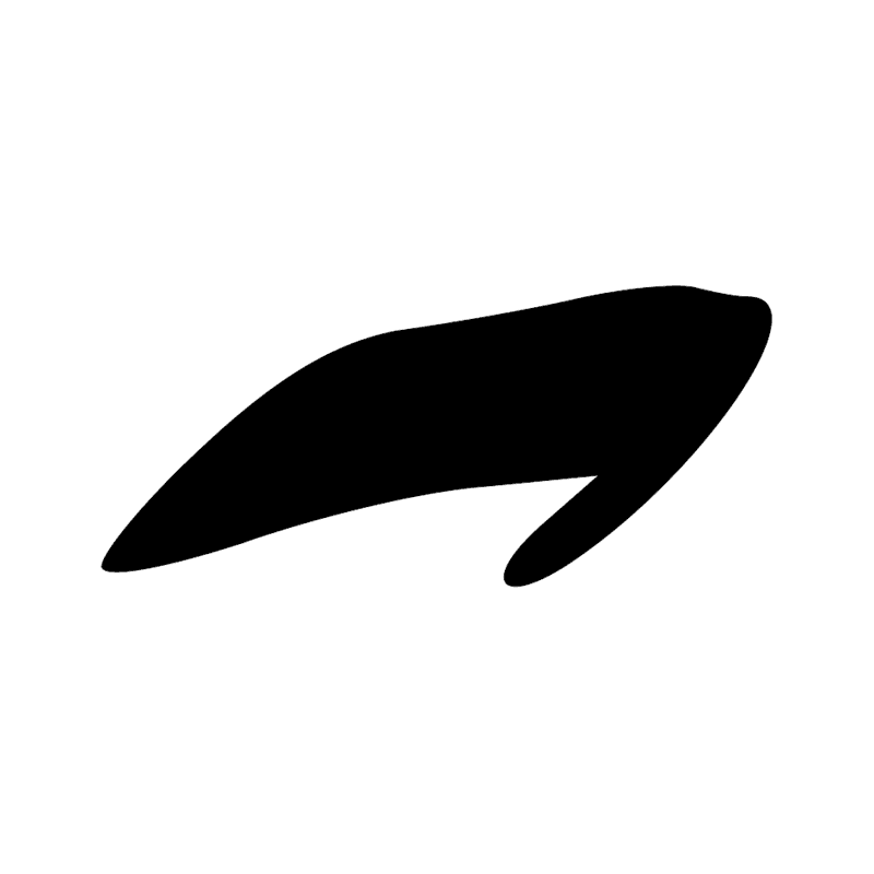 N35 — Filet d'eau