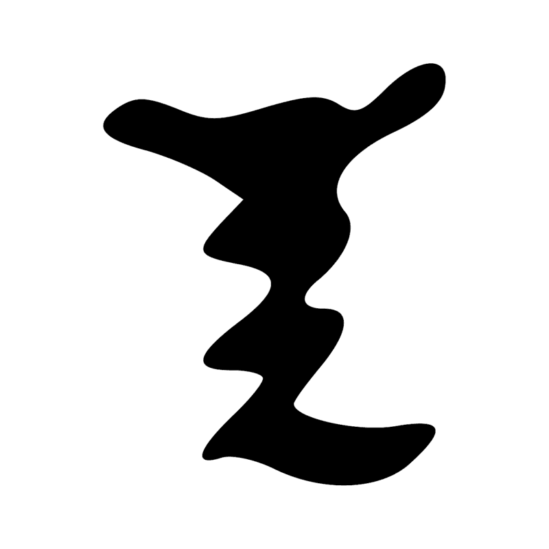 V29 — Balai de fibres