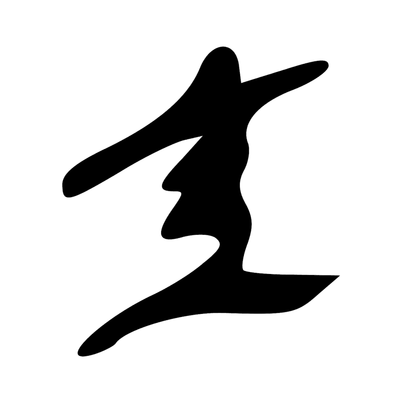 V29 — Balai de fibres
