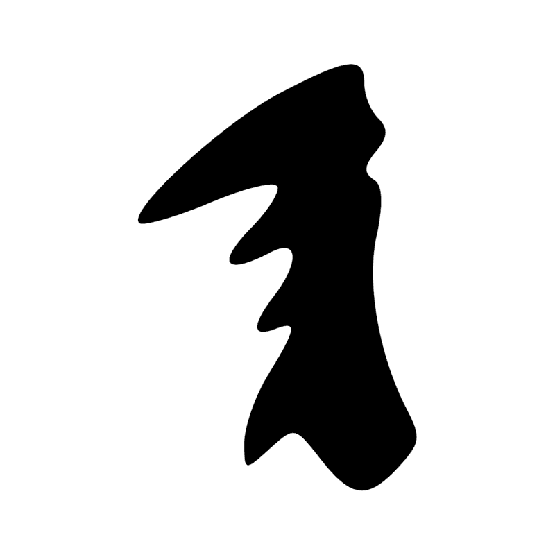 V29 — Balai de fibres