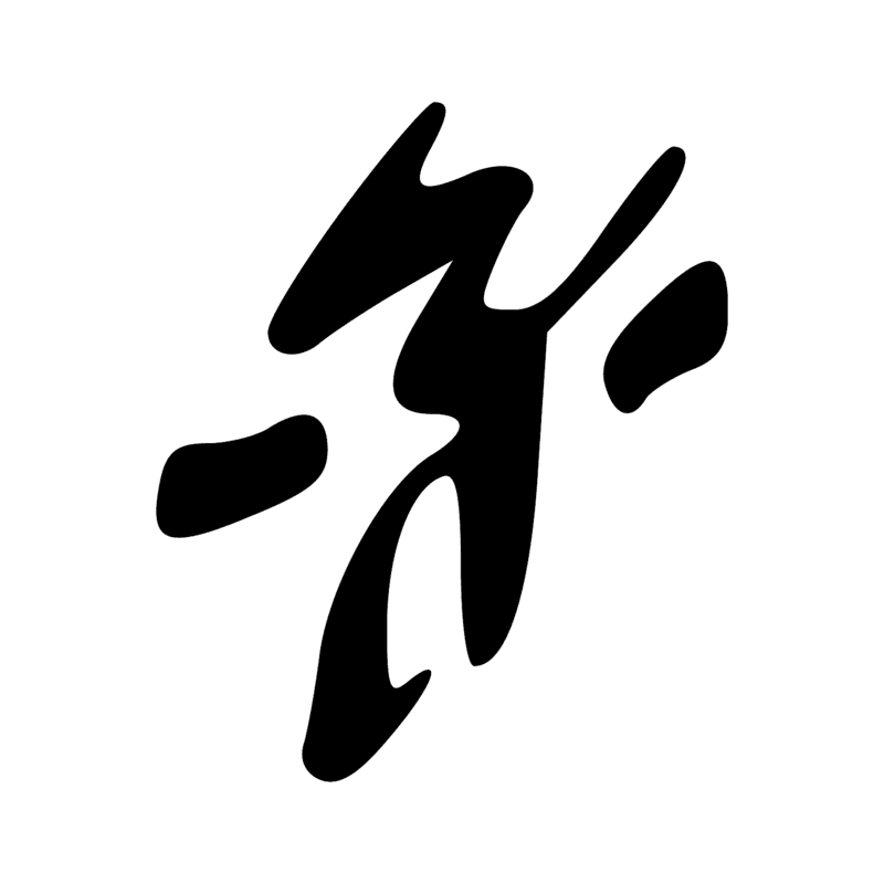 V29 — Balai de fibres