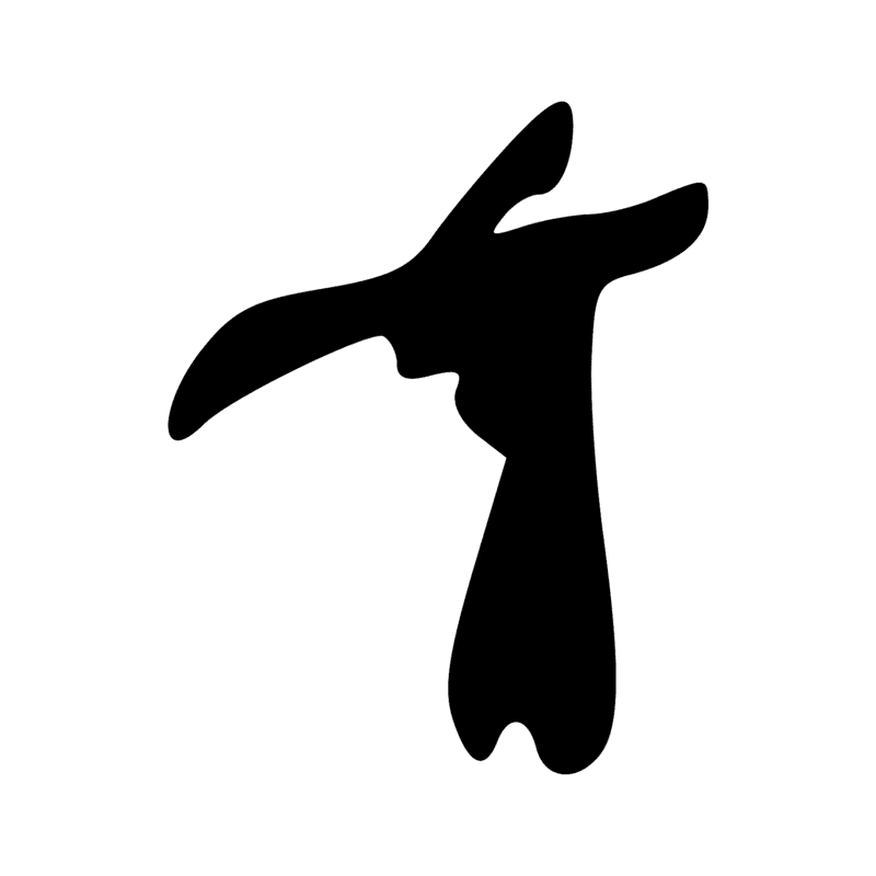 V29 — Balai de fibres