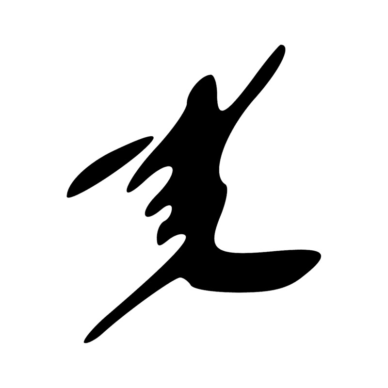 V29 — Balai de fibres