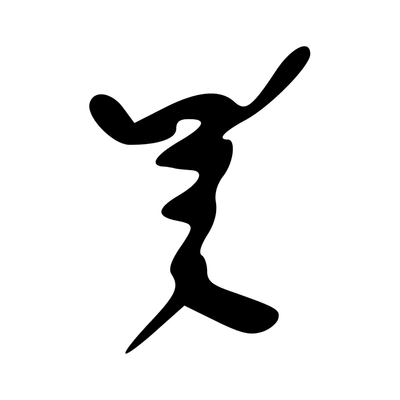 V29 — Balai de fibres